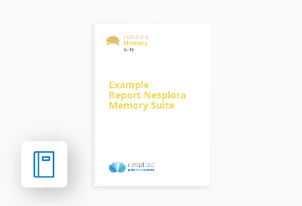 Example Report Nesplora Memory Suite