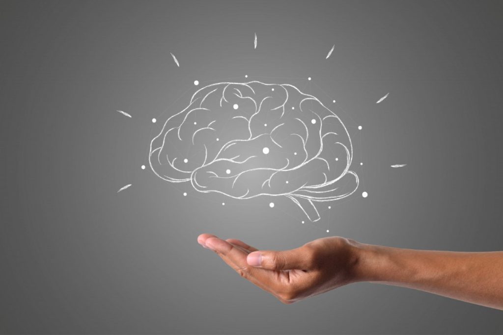 neuroplasticidad